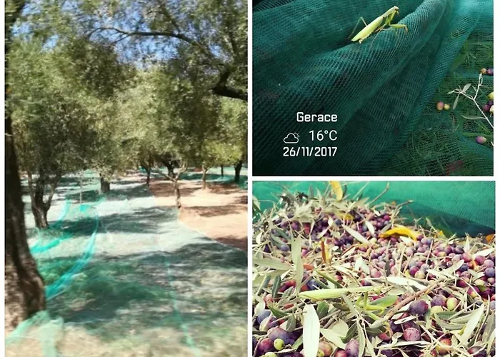 Bellavista 乡村民宿 *