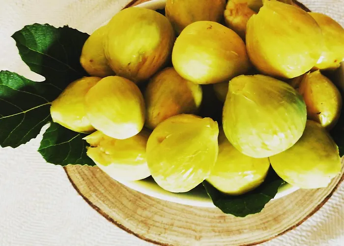 Bellavista * 杰拉切