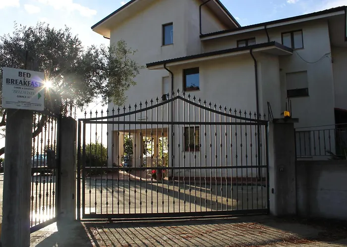 乡村民宿 Bellavista *