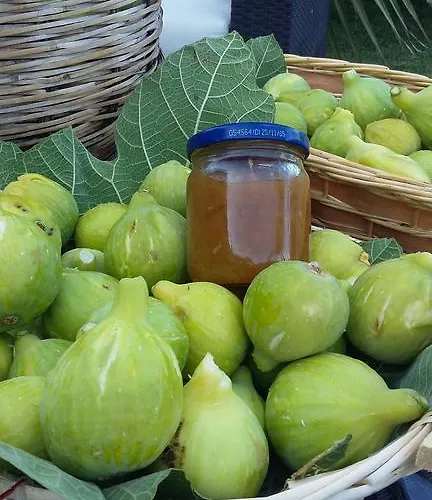 乡村民宿 Bellavista *